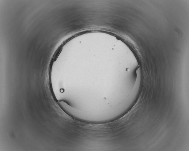 X0000111931280200909071231