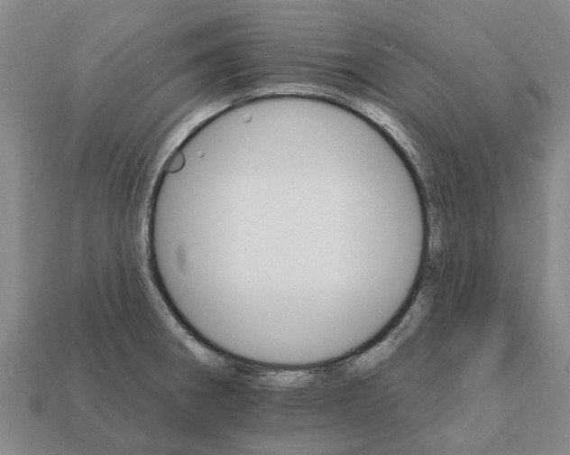 X0000111931282200909071230