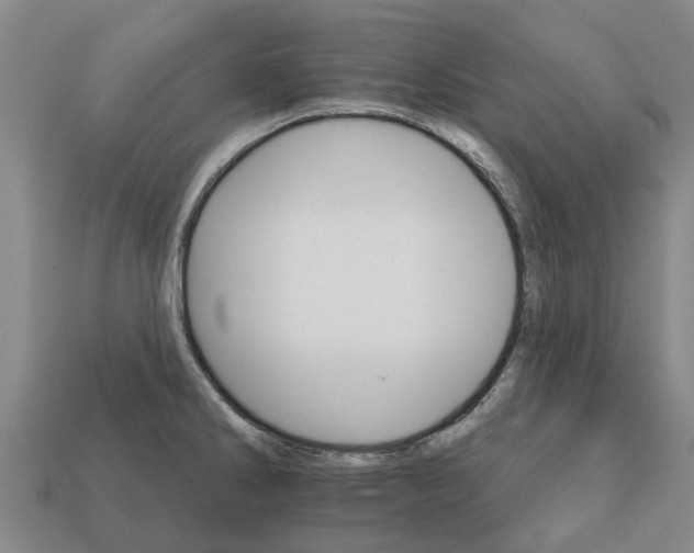 X0000111931286200909071230