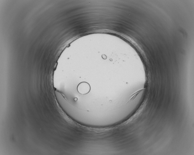 X0000111931289200909071230