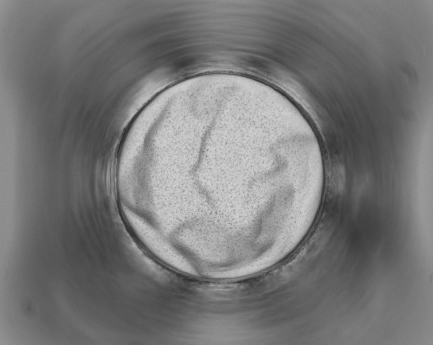 X0000111931290200909071230