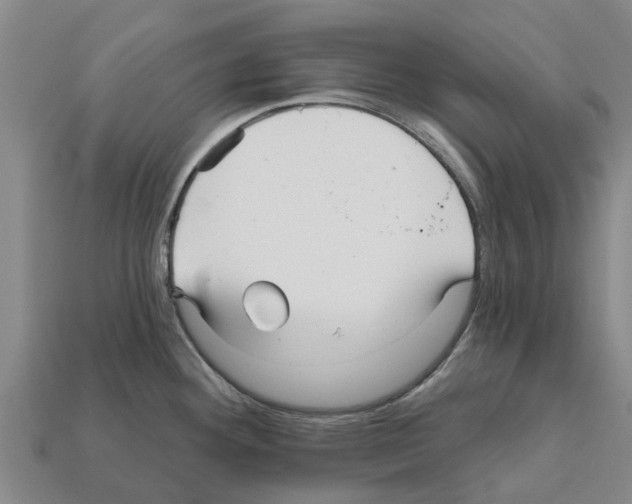 X0000111931292200909071230