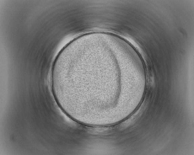 X0000111931294200909071230