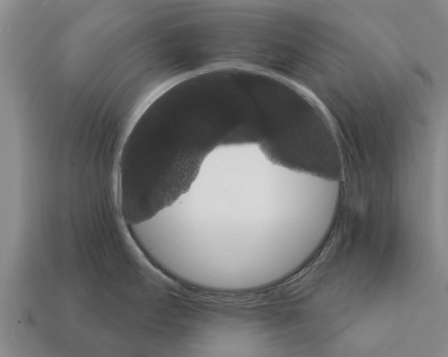 X0000111931295200909071230