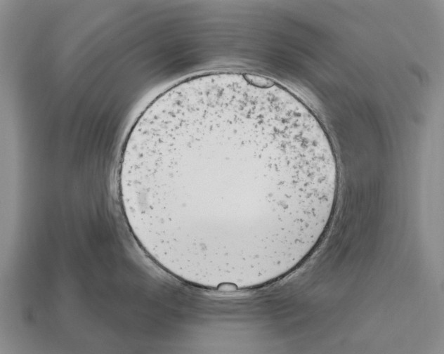 X0000111931296200909071230