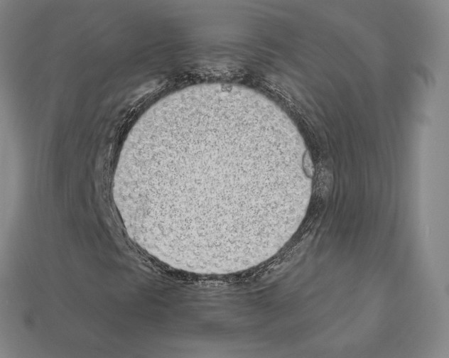 X0000111931297200909071230