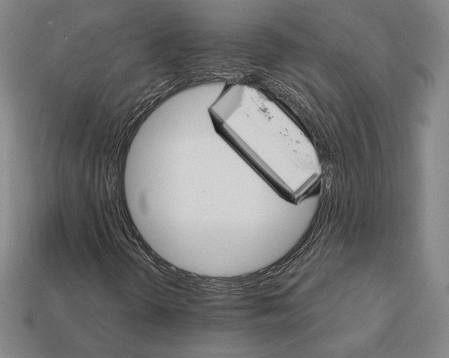 X0000111931298200909071230