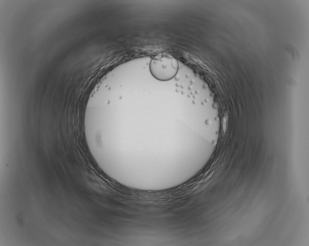 X0000111931299200909071230