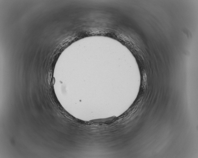 X0000111931300200909071230