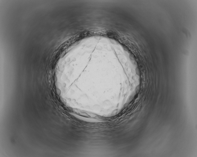 X0000111931301200909071230