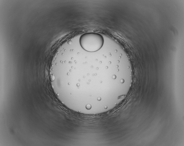 X0000111931302200909071230