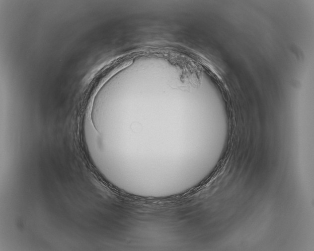 X0000111931304200909071230