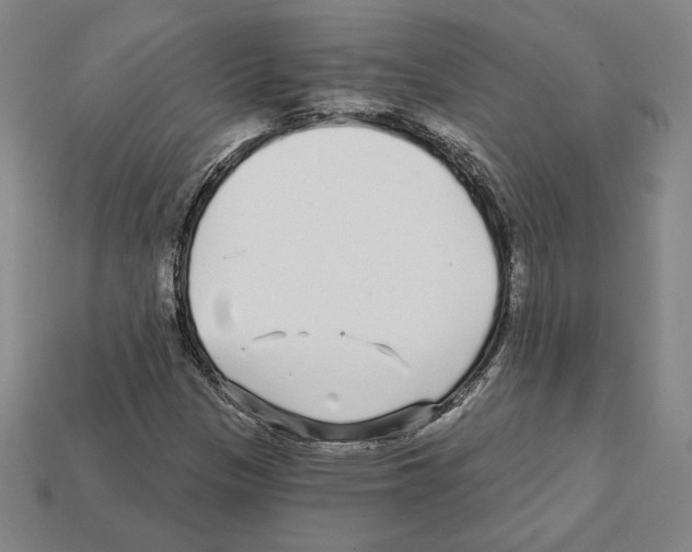 X0000111931305200909071230