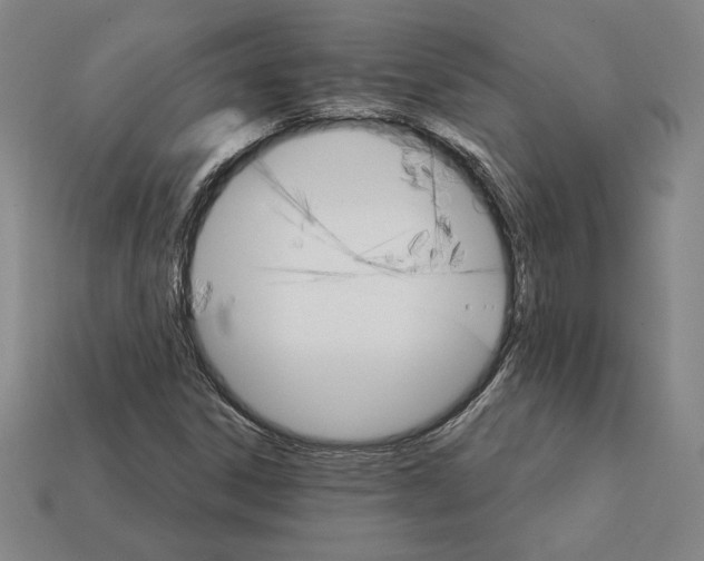 X0000111931306200909071230