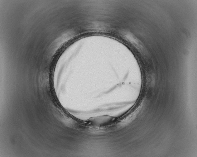 X0000111931307200909071230