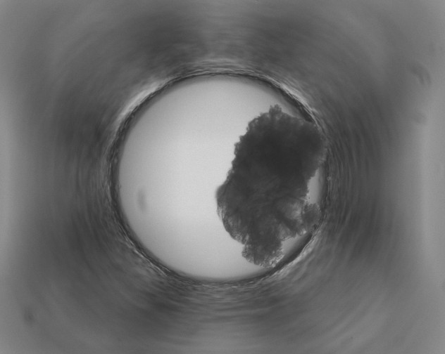 X0000111931309200909071230