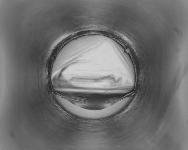 X0000111931310200909071230