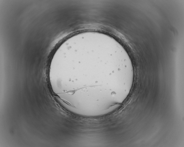 X0000111931312200909071230