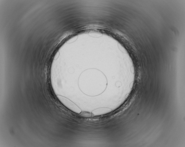 X0000111931313200909071230