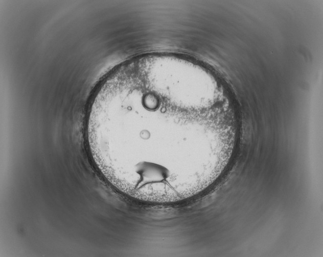 X0000111931314200909071230