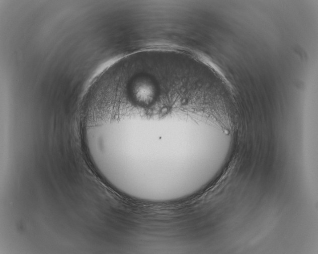 X0000111931315200909071230