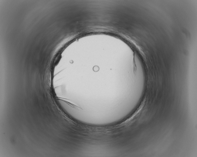 X0000111931317200909071230