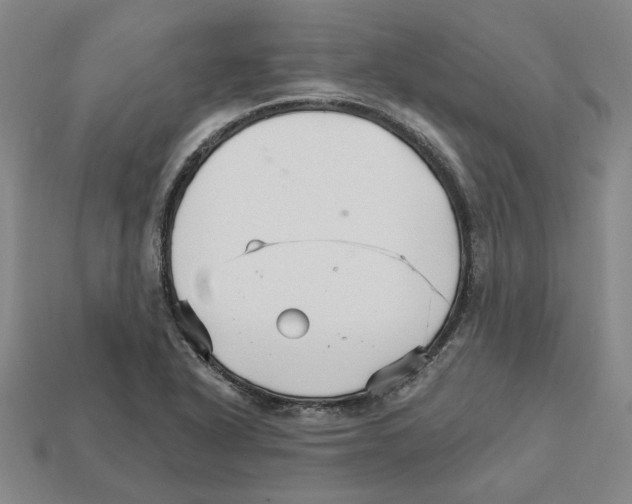 X0000111931318200909071230