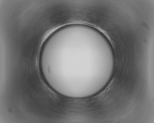 X0000111931319200909071230