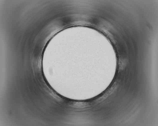 X0000111931322200909071230