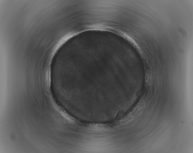 X0000111931323200909071230