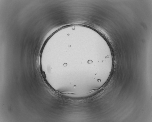 X0000111931324200909071230