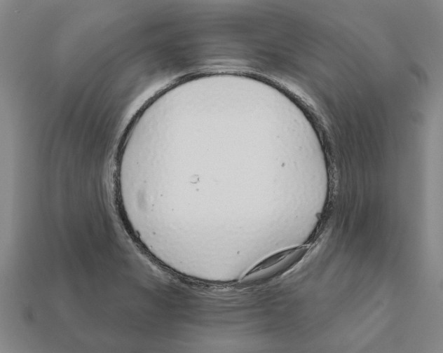 X0000111931325200909071230