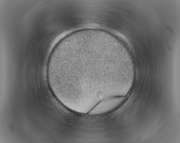 X0000111931326200909071230