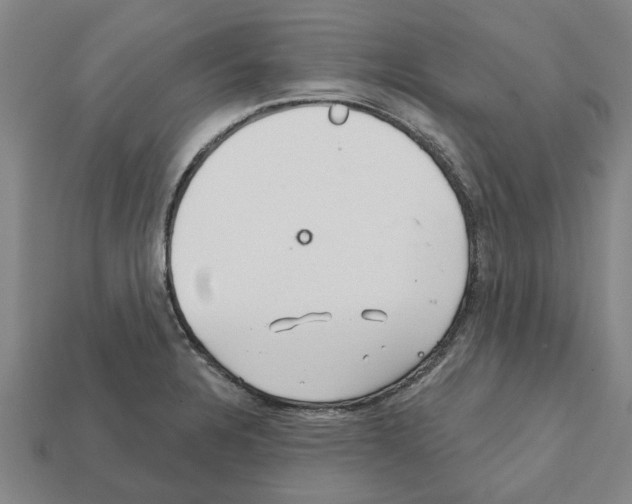 X0000111931328200909071230