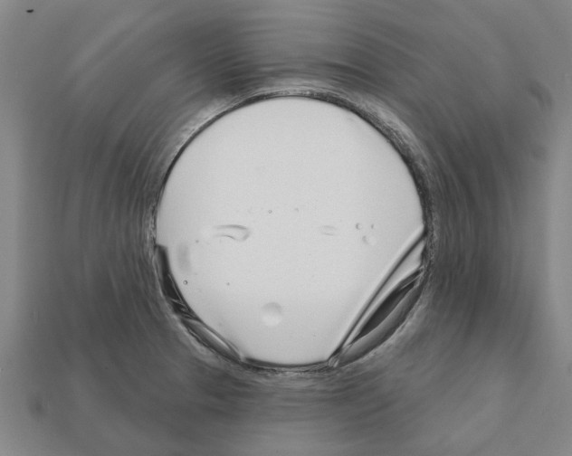 X0000111931329200909071230