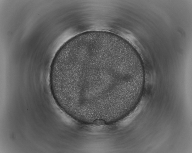 X0000111931331200909071230