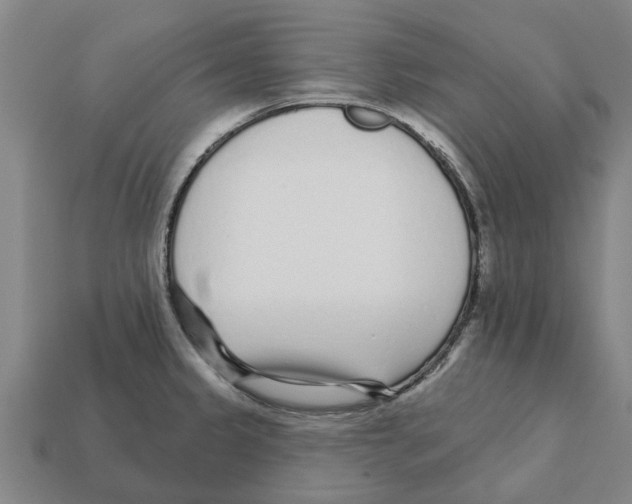 X0000111931333200909071230