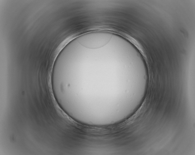 X0000111931338200909071230