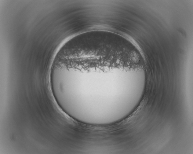 X0000111931339200909071230