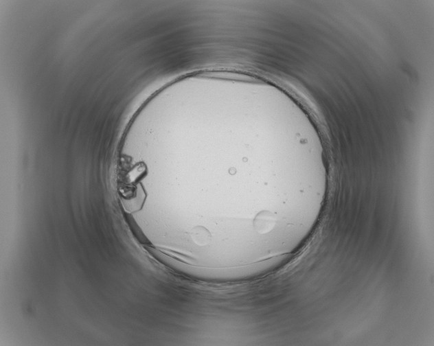 X0000111931340200909071230