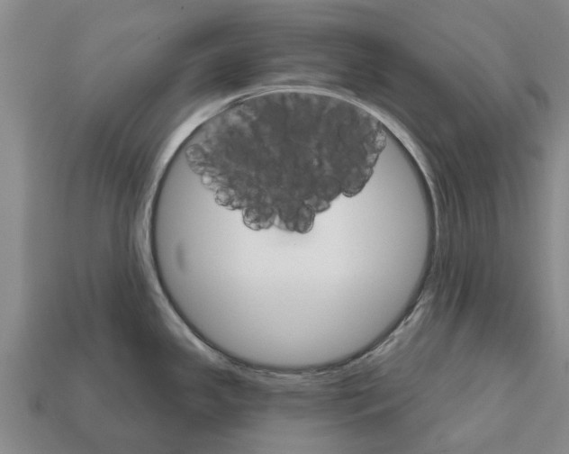 X0000111931341200909071230