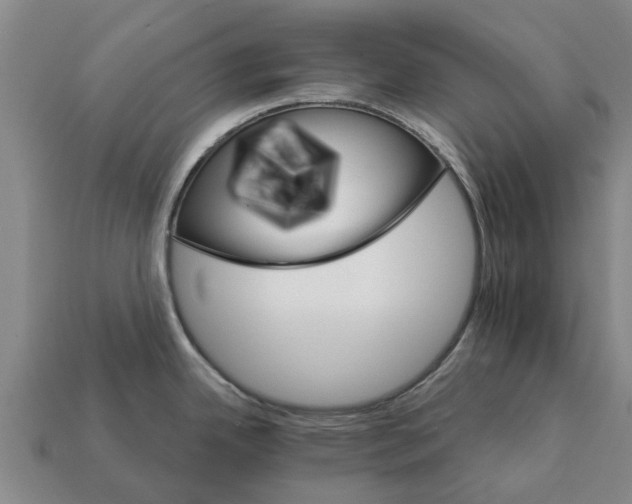 X0000111931342200909071230