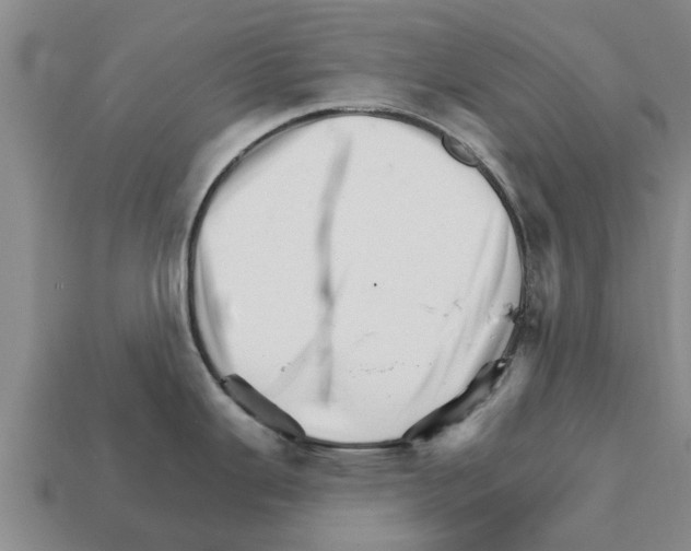 X0000111931343200909071230