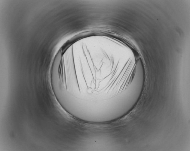 X0000111931344200909071230