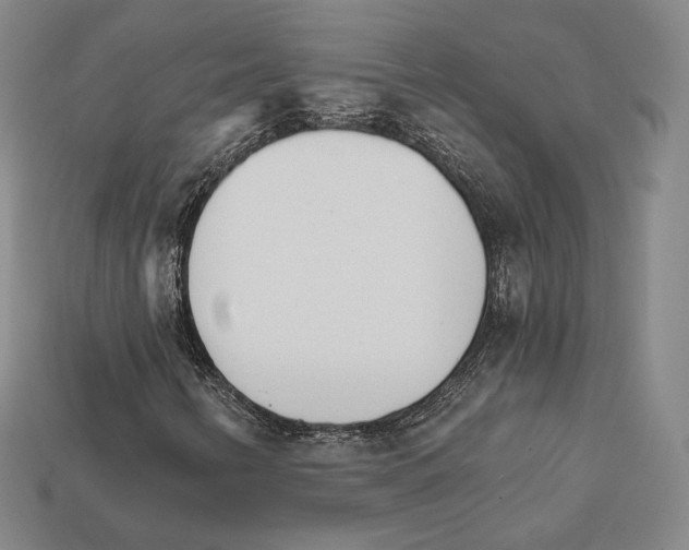 X0000111931346200909071230