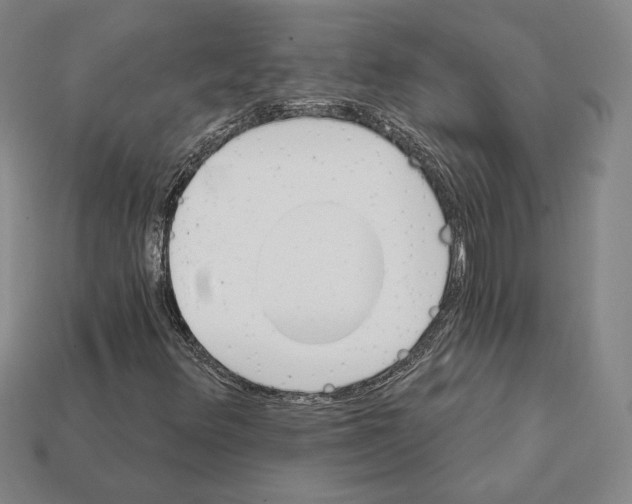 X0000111931348200909071229