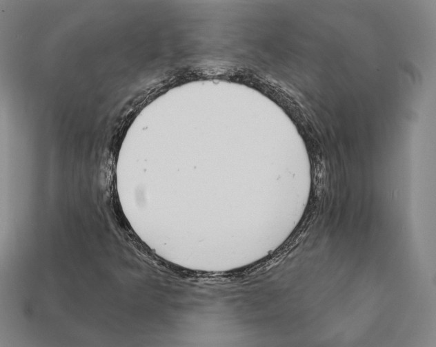 X0000111931349200909071229