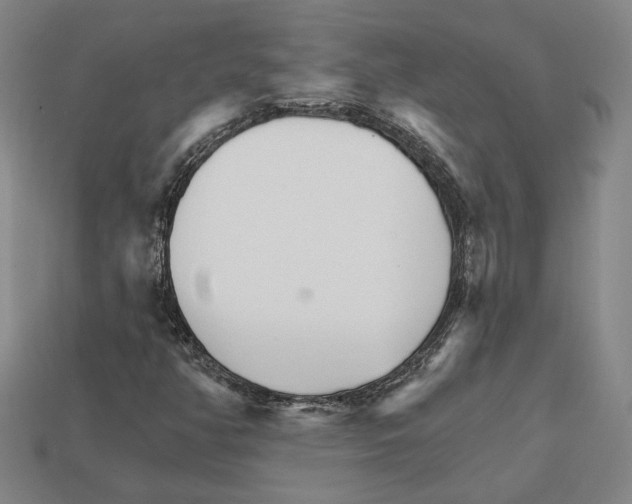 X0000111931350200909071229