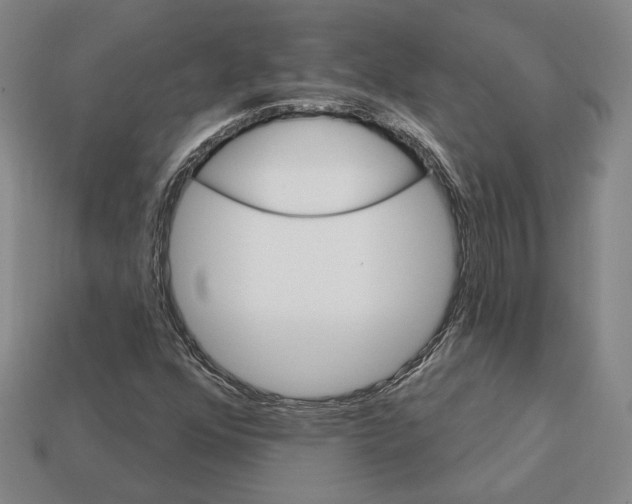 X0000111931352200909071229