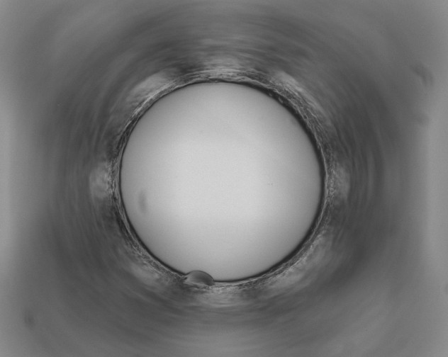 X0000111931353200909071229